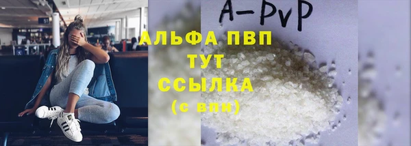 гашик Покров