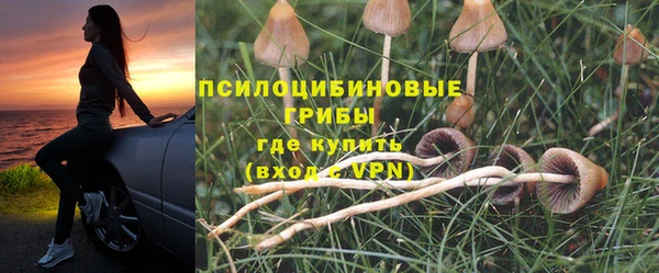 apvp Балахна