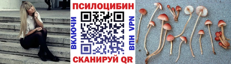 купить наркоту  Тихвин  Галлюциногенные грибы Magic Shrooms 